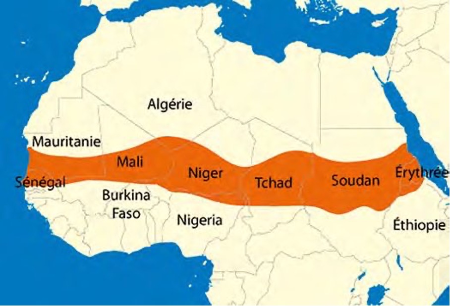 Le Sahel comme nouveau laboratoire géopolitique mondial