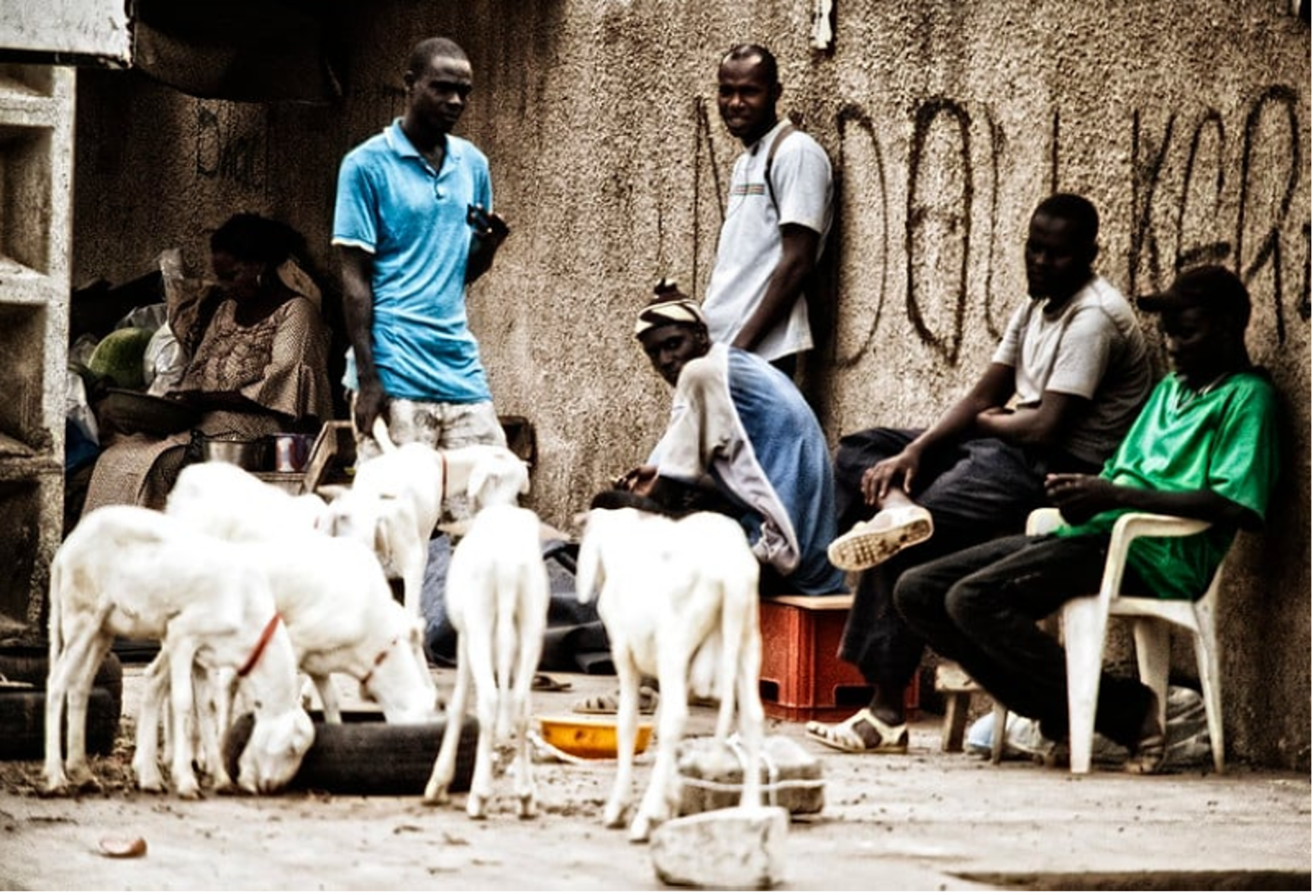 Chômage au Sénégal : la croissance peut-elle encore absorber la jeunesse ?