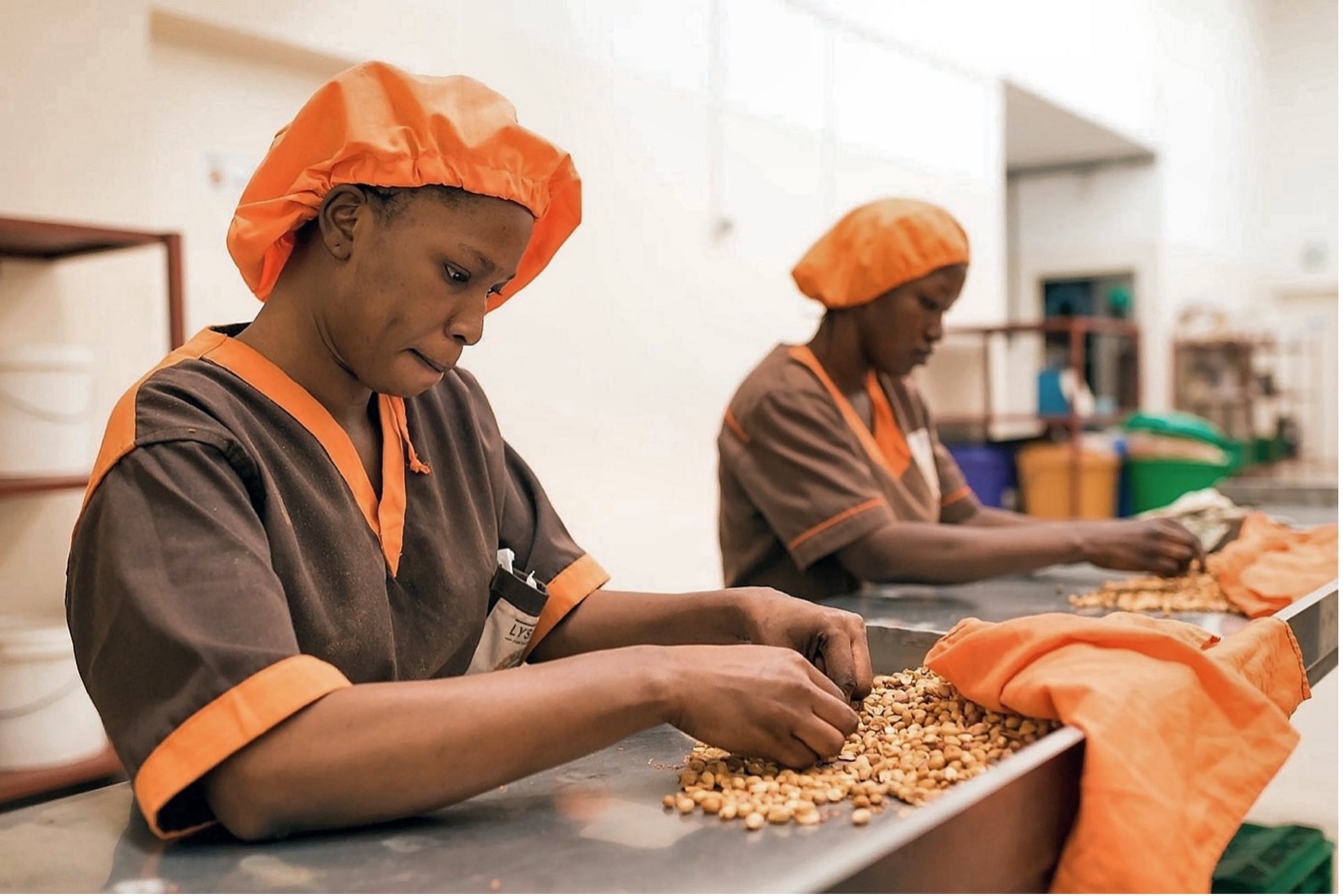 Sénégal : les PME peuvent-elles sauver l’économie de l’emploi ?